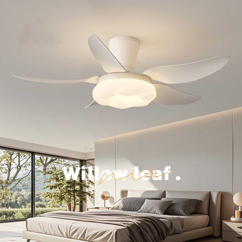 6b5b3934b8a433ce83e10db9041363a 拷贝.jpg